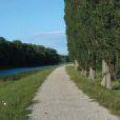 MESTO SKALICA: -