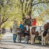 MESTO SKALICA: 