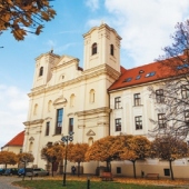 MESTO SKALICA: -