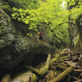 MESTO SPIŠSKÁ NOVÁ VES: -
