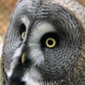 ZOO KOŠICE: 