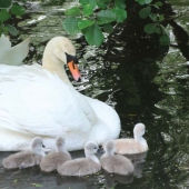 ZOO KOŠICE: 