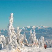 MESTO DOLNÝ KUBÍN: SKI PARK Kubínska Hoľa