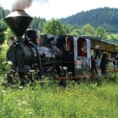 ŽILINSKÝ TURISTICKÝ KRAJ: Historická lesná úvraťová železnica vo Vychylovke
