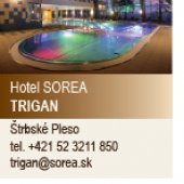 HOTEL SOREA TRIGAN