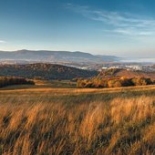 MESTO SNINA: 