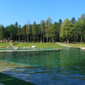 MESTO SNINA: -