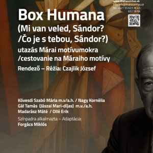 DIVADLO THÁLIA - THÁLIA SZÍNHÁZ: Box Humana (Čo je s tebou, Sándor?)