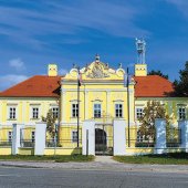 MESTO DUNAJSKÁ STREDA: 