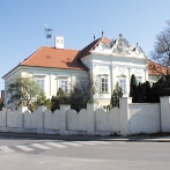 MESTO DUNAJSKÁ STREDA: -