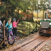 Kraj żyliński: Historická lesná úvraťová železnica na Vychylovke