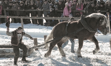 OBEC NOVOŤ: Furmani