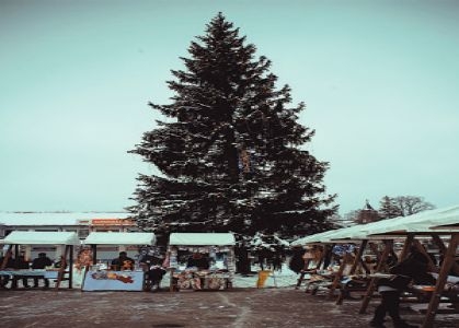 OBEC NOVOŤ: Vianočné trhy