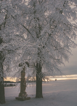 OBEC NOVOŤ: Kamenný stĺp