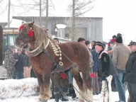 OBEC NOVOŤ: Furmánske dni