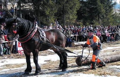 OBEC NOVOŤ: Novotské furmanské dni