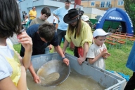 MESTSKÉ KULTÚRNE STREDISKO NOVÉ ZÁMKY: „Novozámocký Country fest“ - ryžovanie zlata